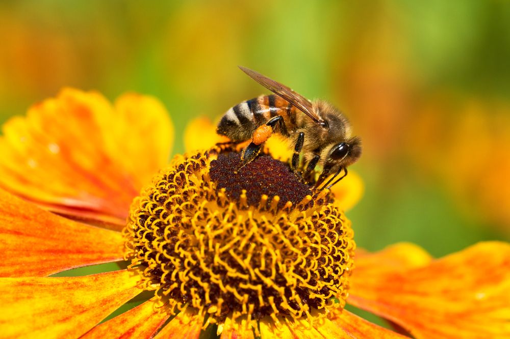 Photograph by Anatoli Weingart