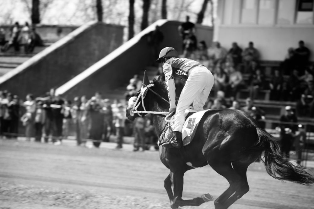 Photograph by Иван Зиновьев