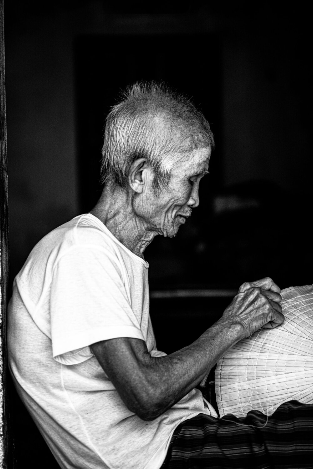 Photo #8800629
