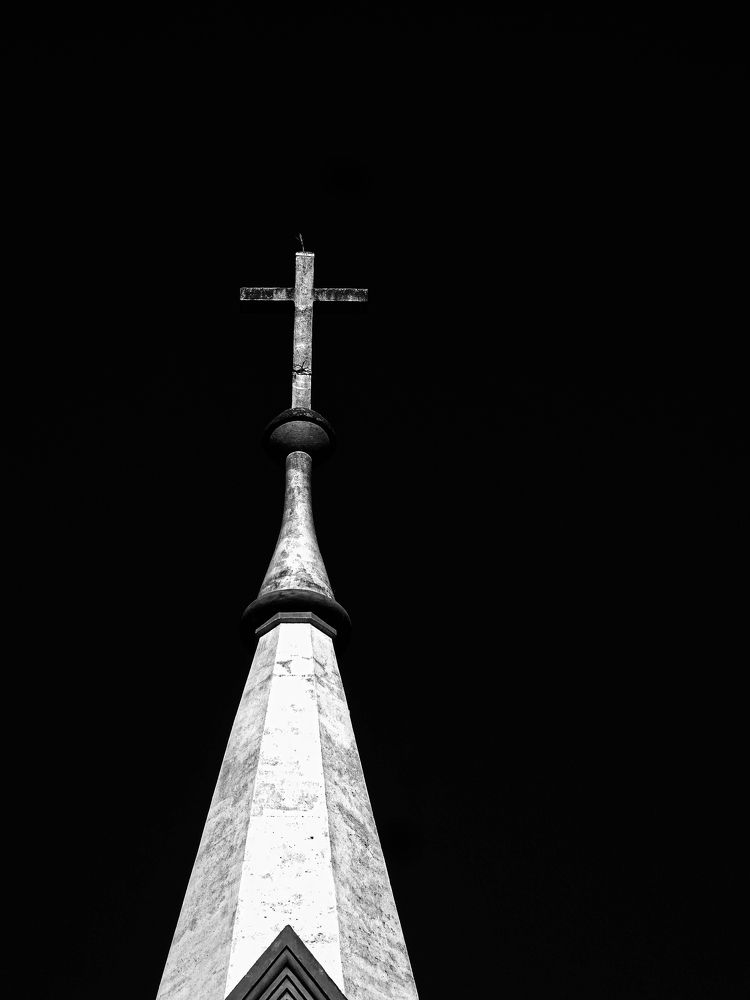 Photo #8800650