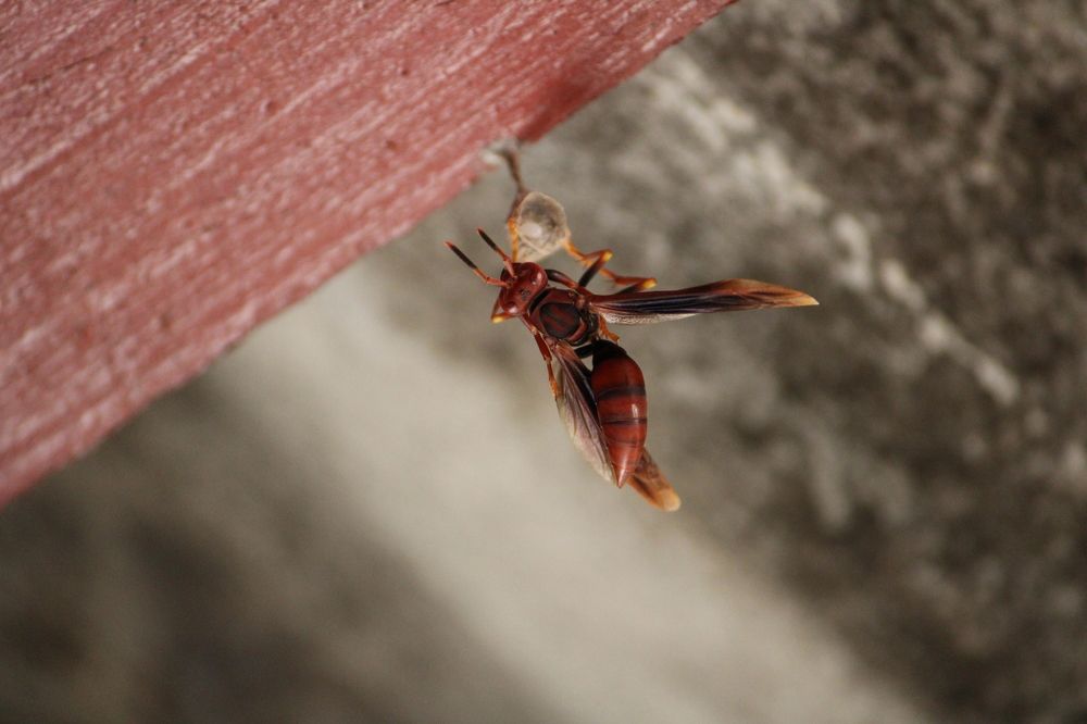 Photograph by Adrielly Abade