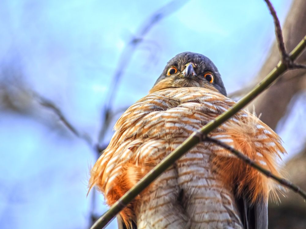 Photograph by Юлия Серазетдинова