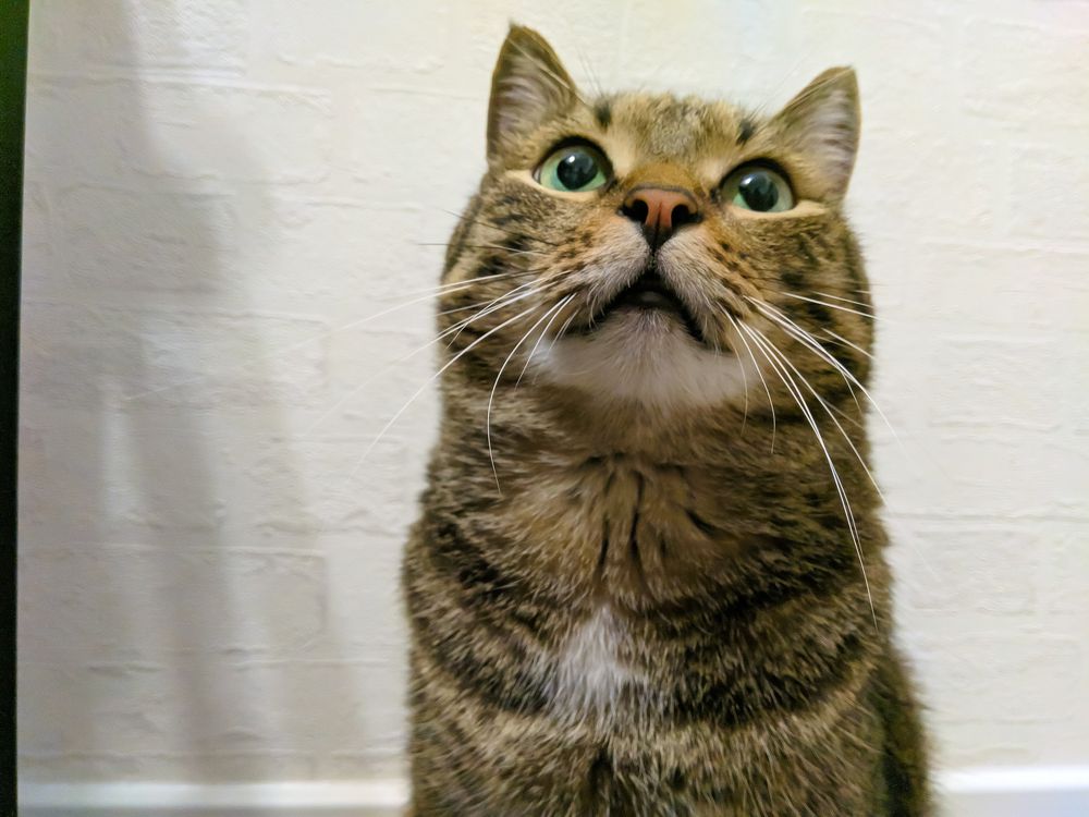 Photograph by Наталья Соловьева