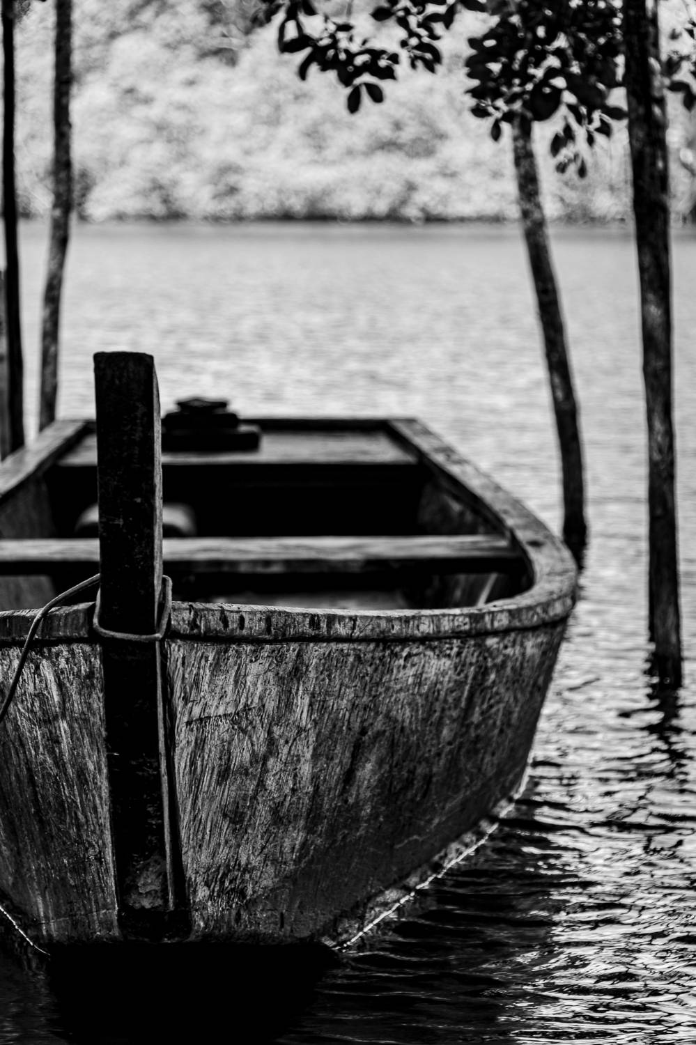 A Canoa da Marisqueira