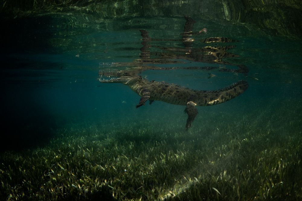 Photograph by vinay abraham mathew