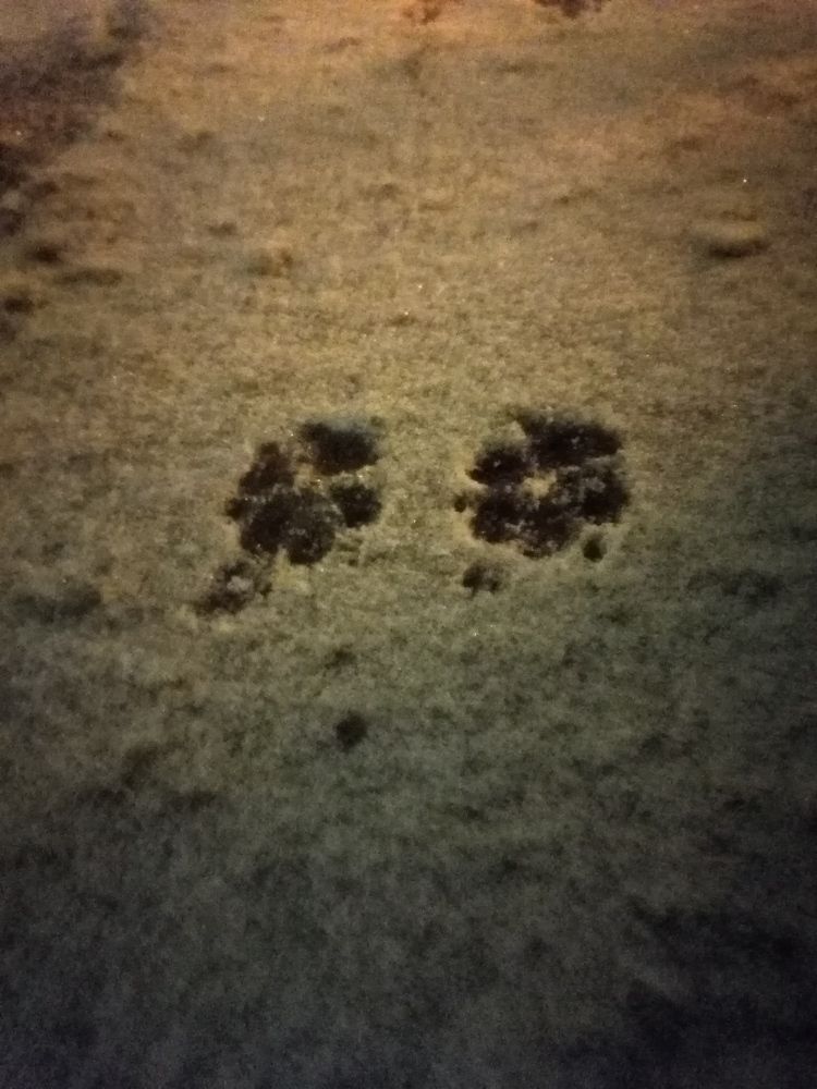 Фотография автора Виталий Дузь