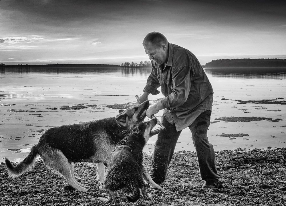 Photograph by v Stark