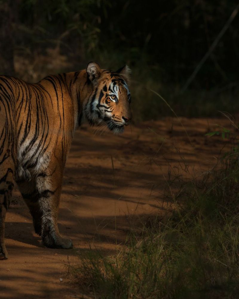 Photograph by ASHWINI BHONGE