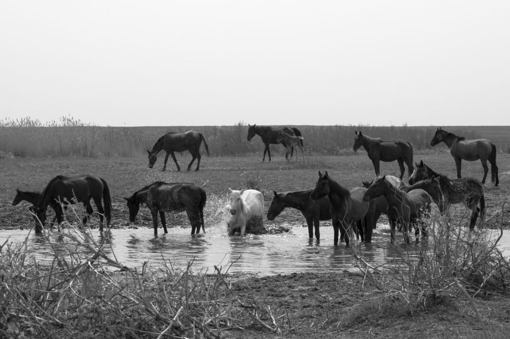 Photograph by Юлия Панова