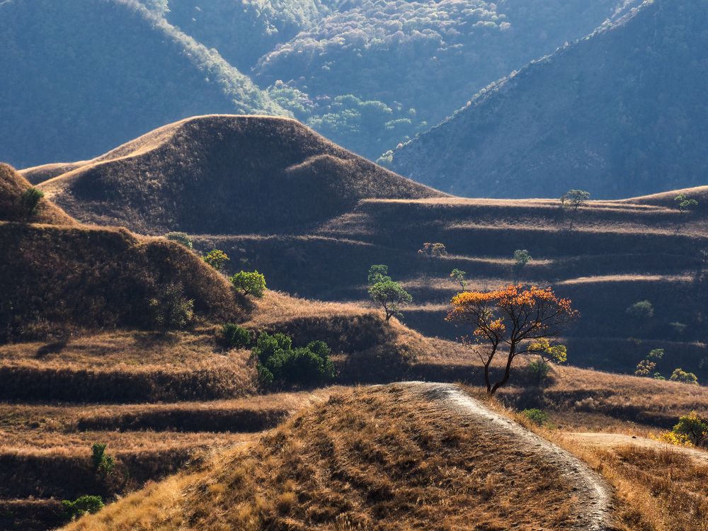 Дагестанские мотивы