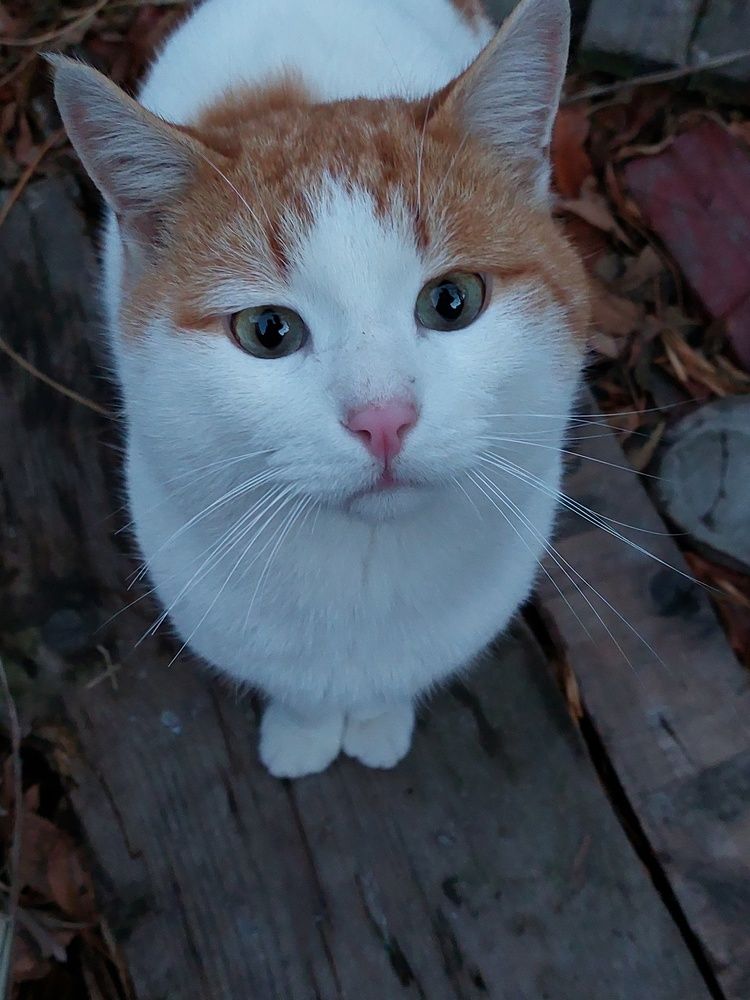 Photograph by Нина Паршина