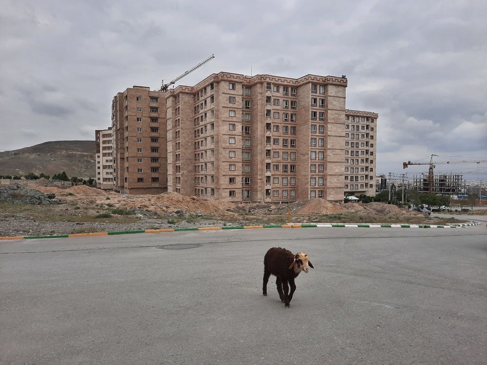 Photograph by Mohamad Baghestani