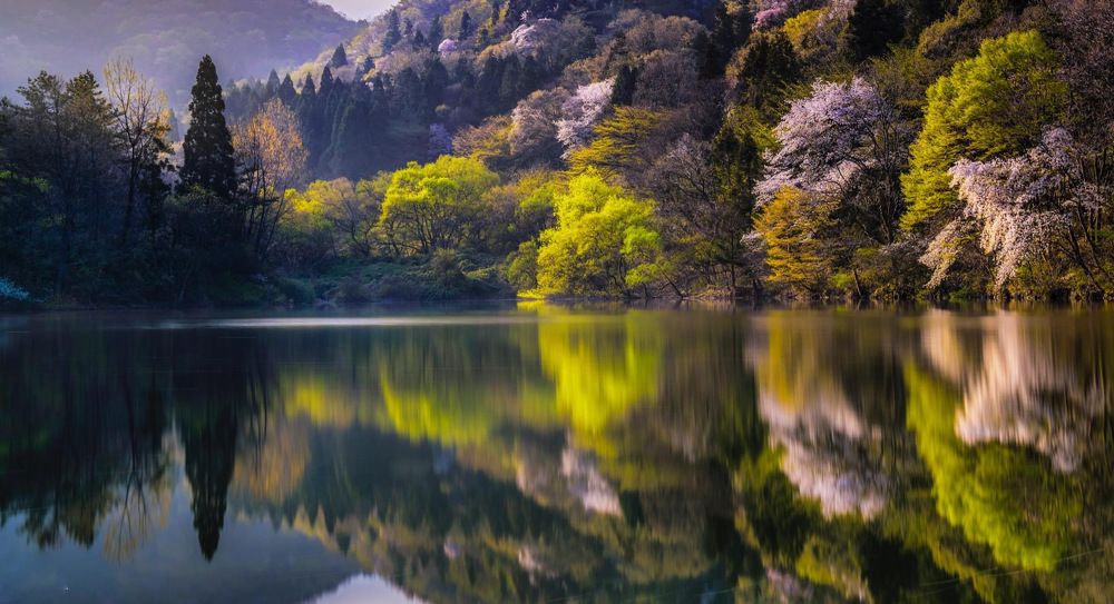 Фотография автора Tôi Là Núi