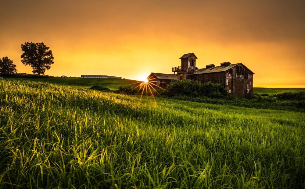 Sunset in Anseong Farm