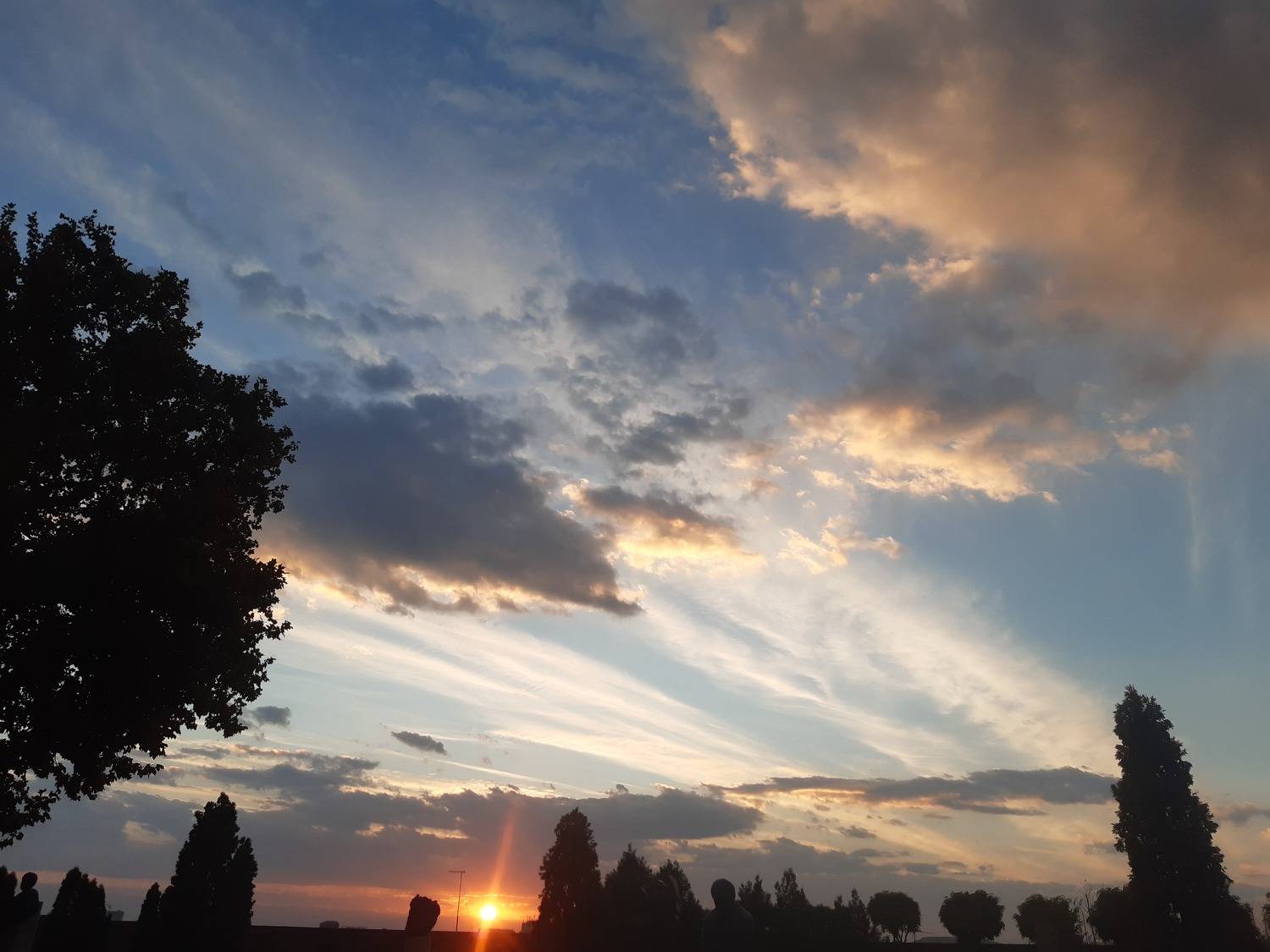 Photo #8801329
