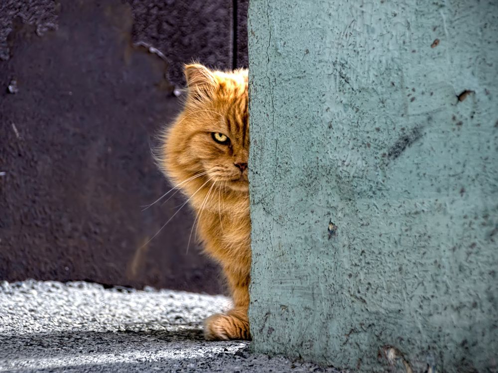 Photograph by Владимир