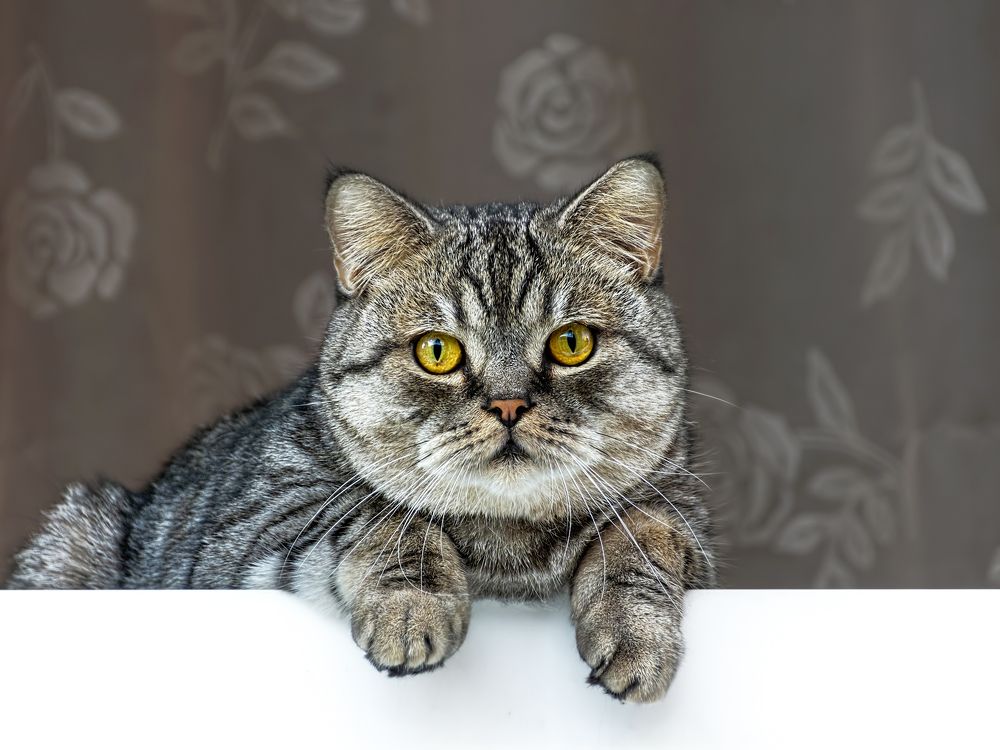 Photograph by Владимир