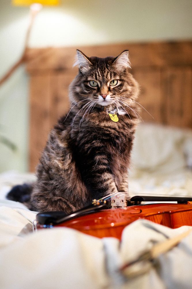 Photograph by Алена Нестерова