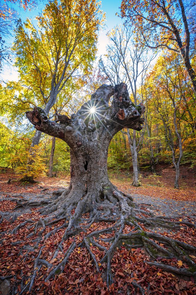 Photograph by Дмитрий Юдин