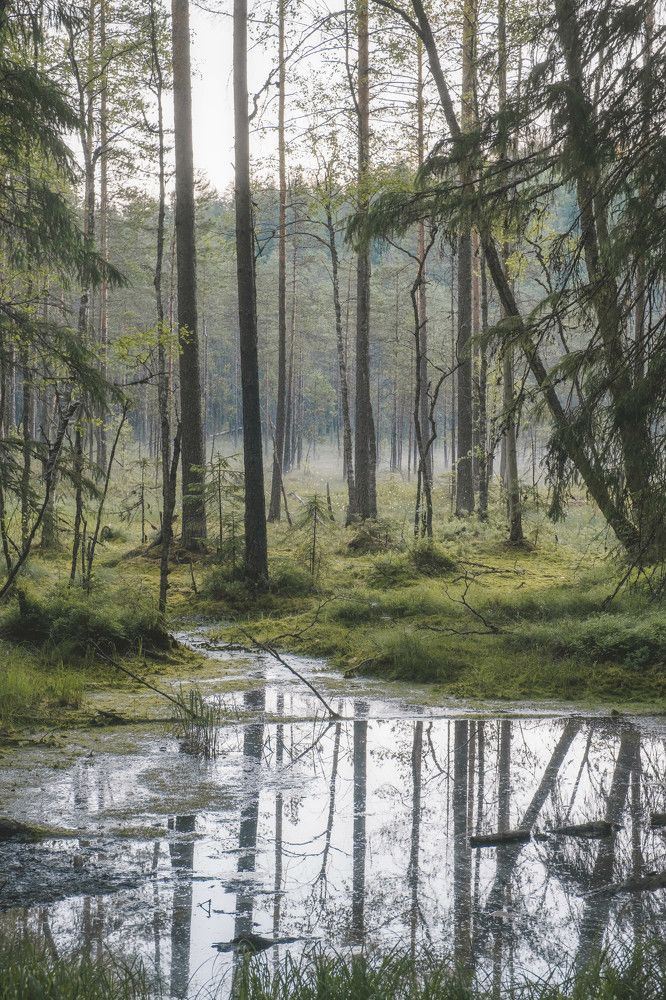 Photograph by Анна Рудякова