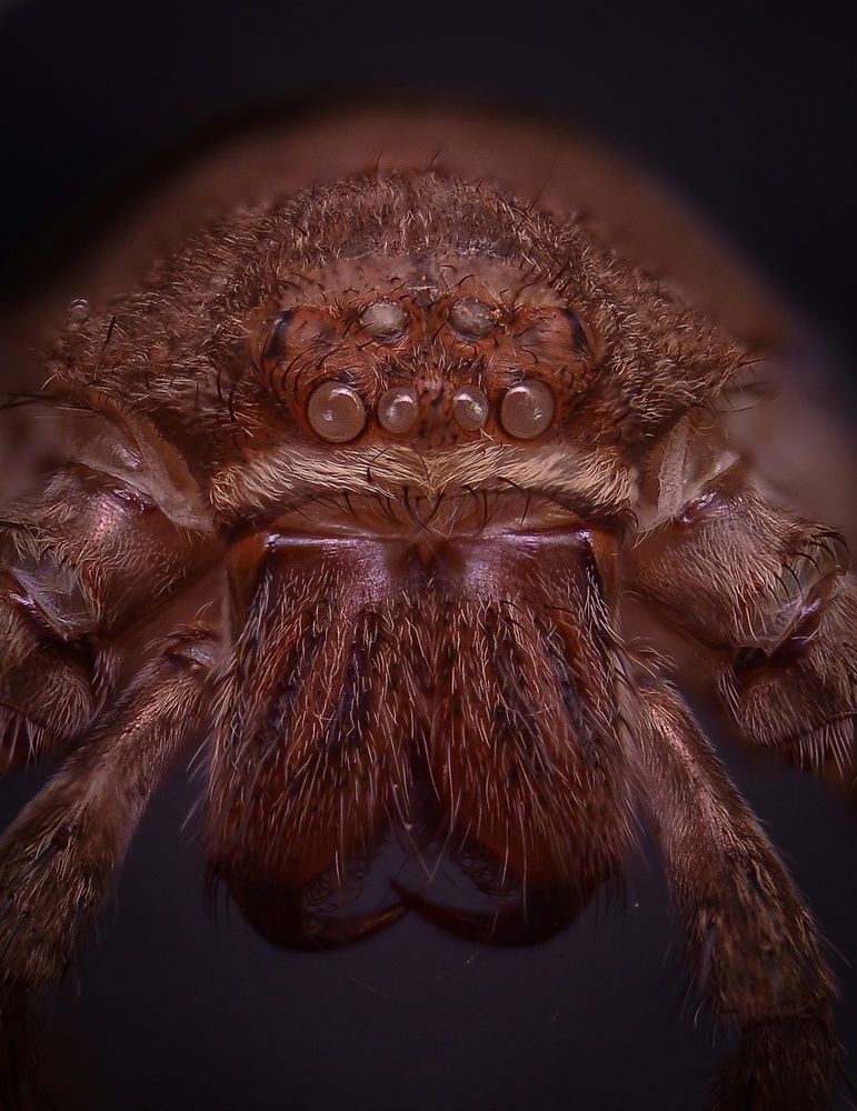 Photograph by Kasun Wickramasinghe