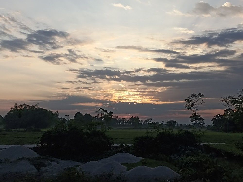 Photo #8801550