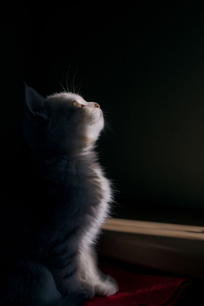 Photograph by Мария Погорелова