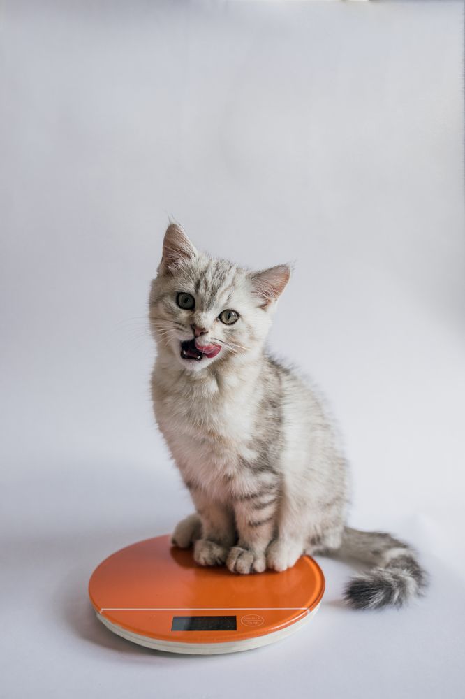 Photograph by Мария Погорелова