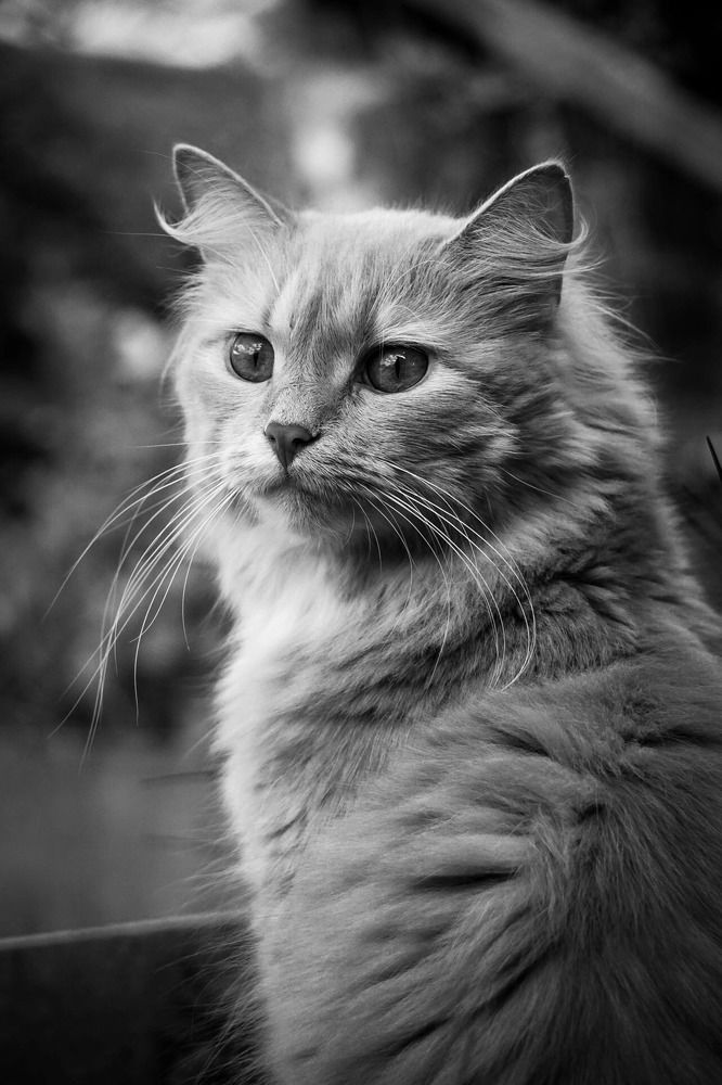 Photograph by Ася Весна