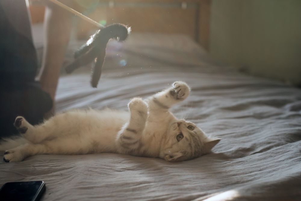 Photograph by Мария Погорелова