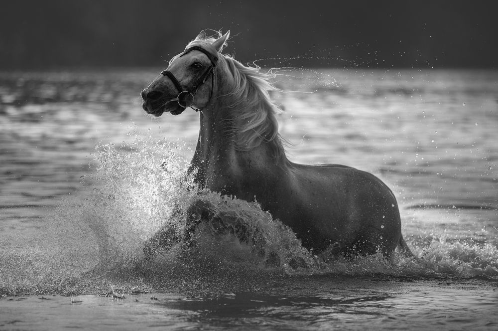 Photograph by Олеся Евгеньевна