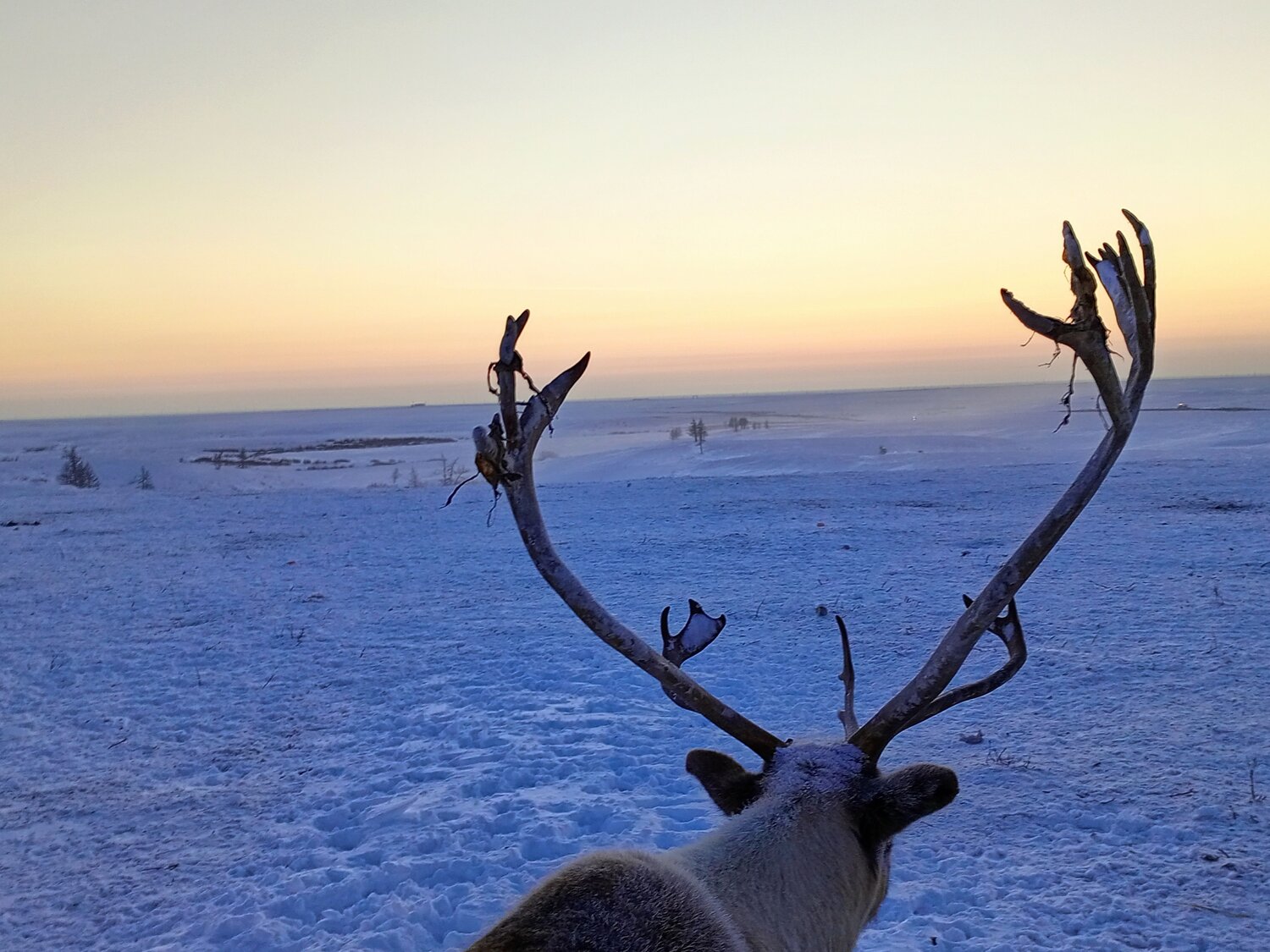Photo #8801609