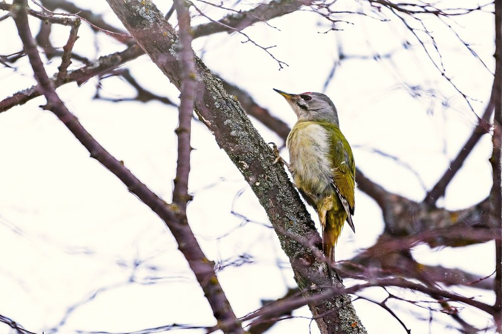 Photograph by Михаил Архипов