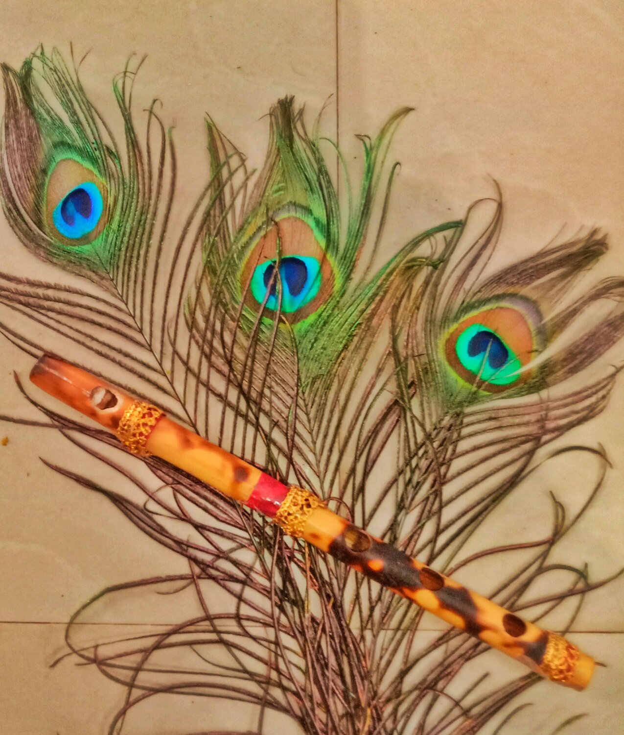 Photo #8801872