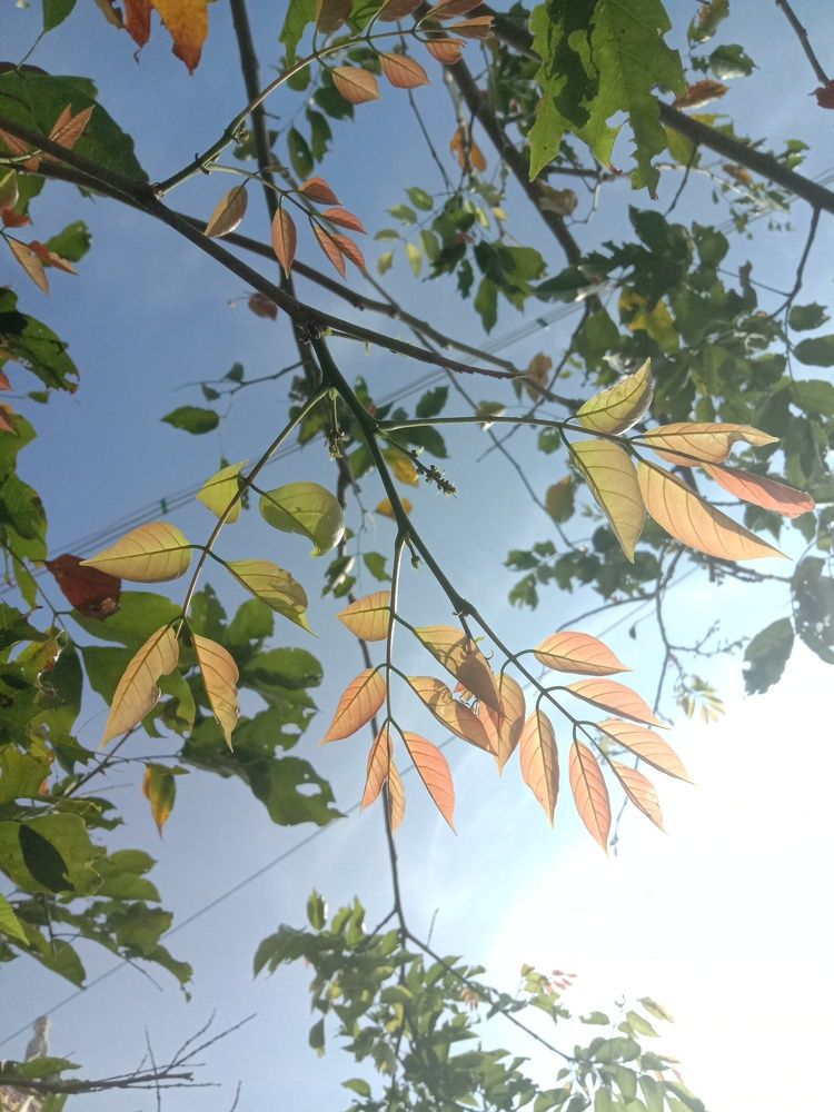 Photo #8801873