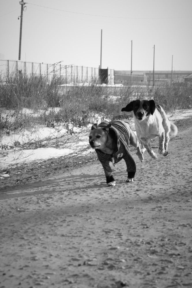 Photograph by Татьяна Долгушева