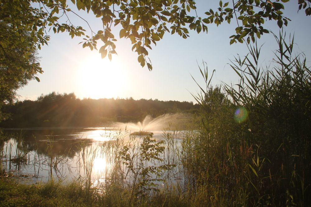 Photograph by Юлия