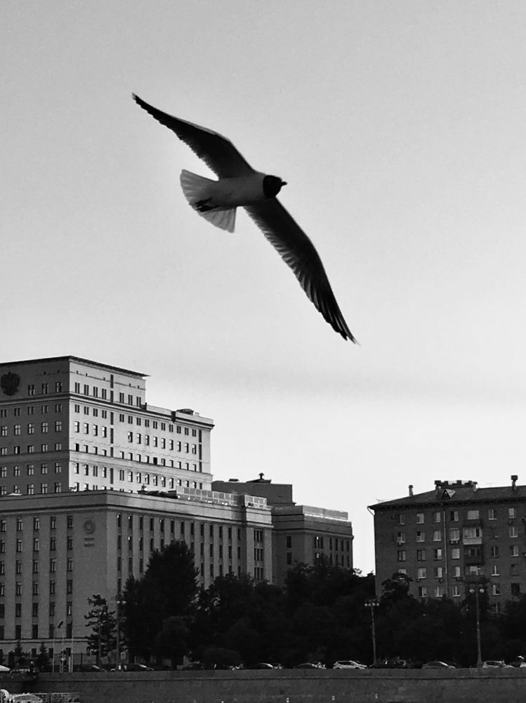 Photograph by Елена Макуха