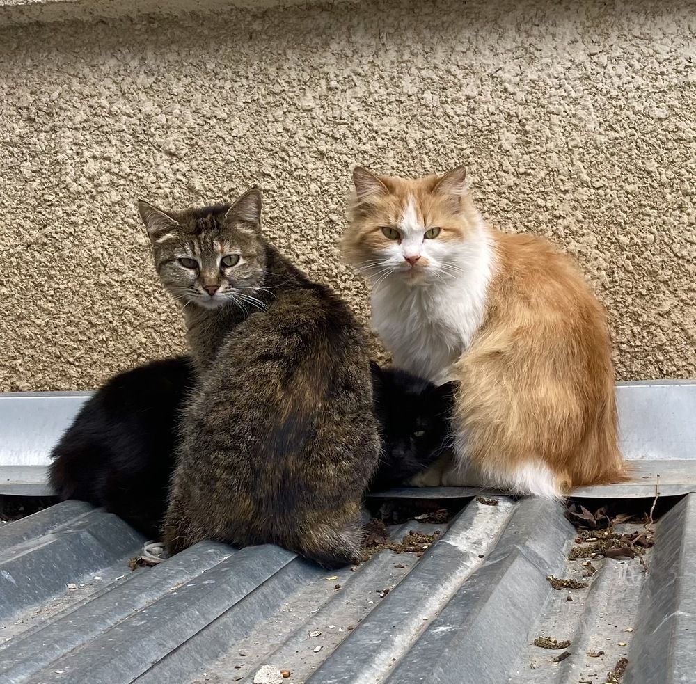 Photograph by Виктория Триско