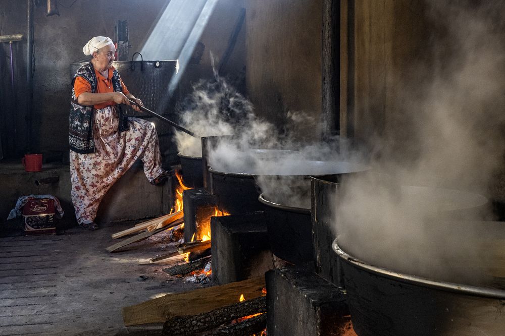 Фотография автора Aylin Turnator