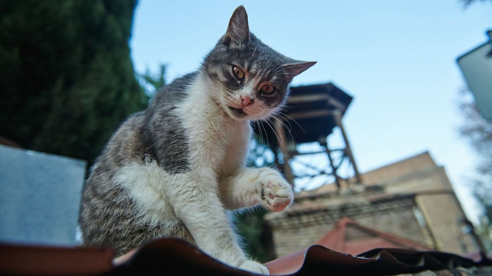 Photograph by Алексей Вайнман