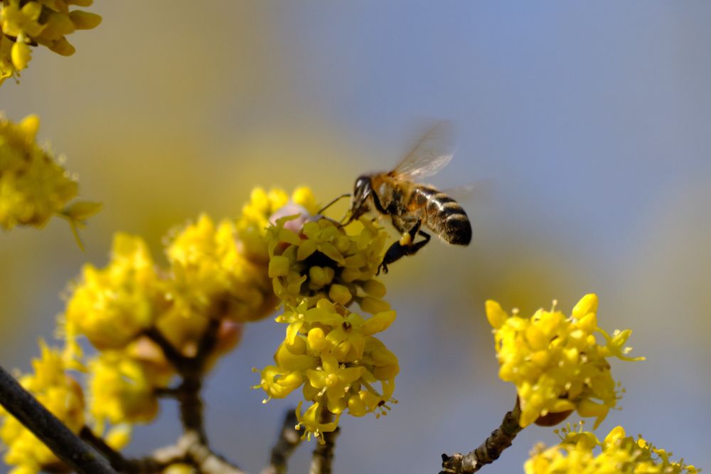 Photograph by Михаил Нестеренко