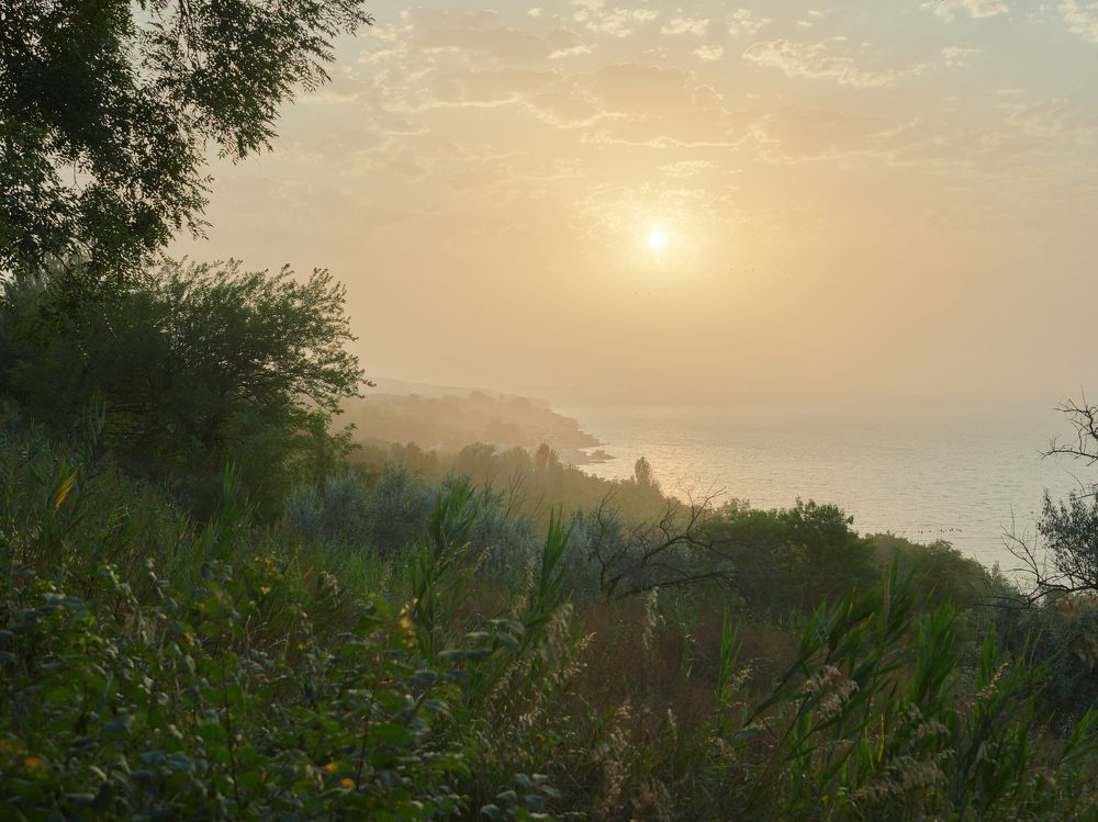 Photograph by Михаил Нестеренко