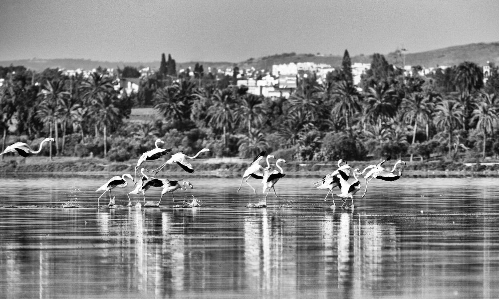 Photograph by Vadim Heinz