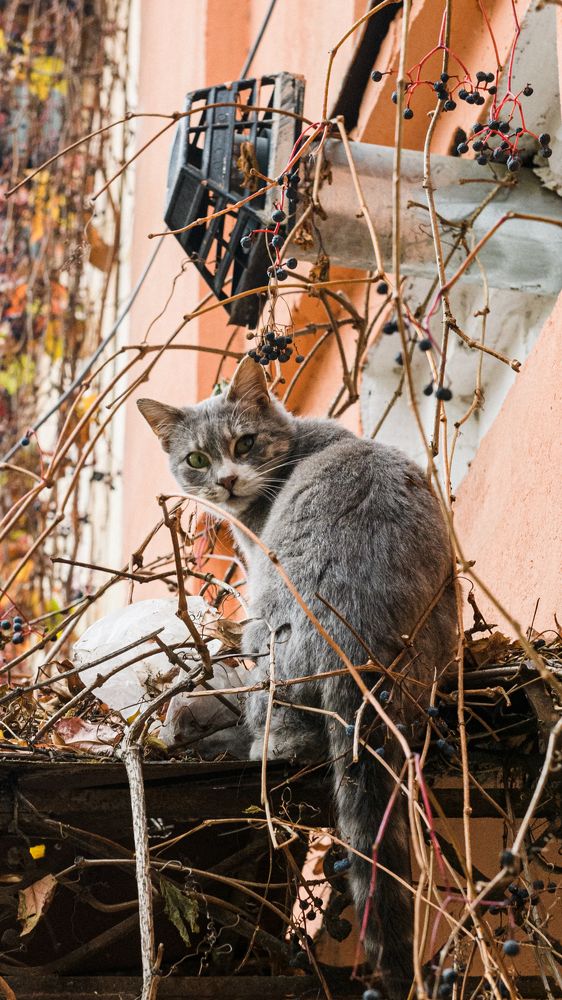 Photograph by Алексей Вайнман