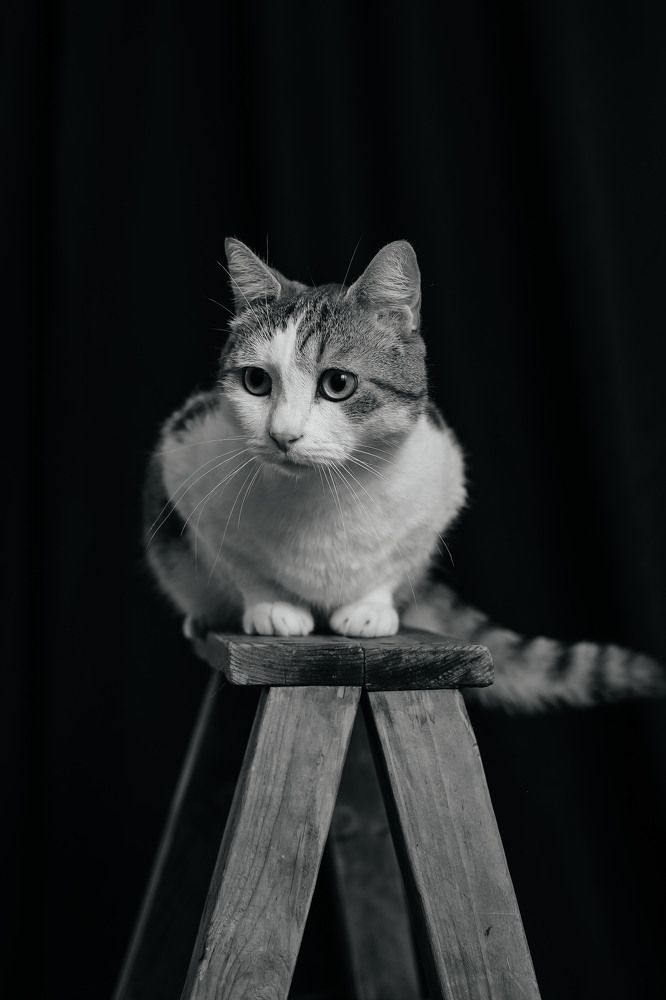 Photograph by Гузель Мирошкина