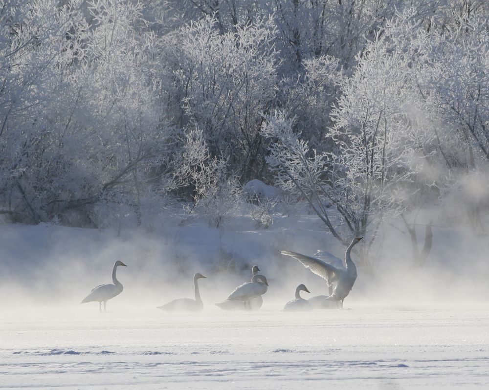 Photograph by Наталья Турчик