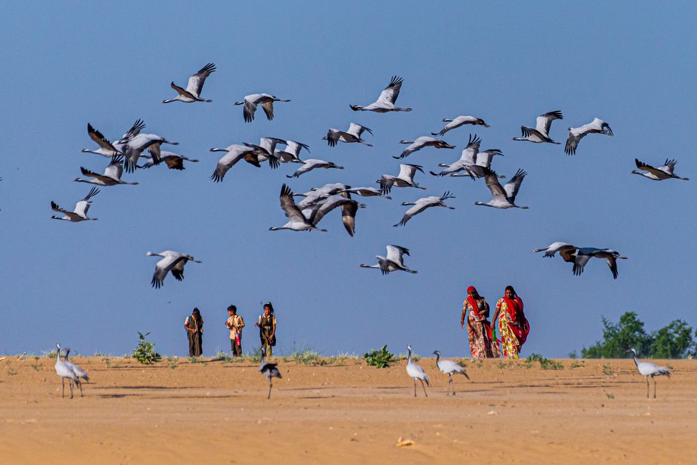 Photograph by Kshitij Patle