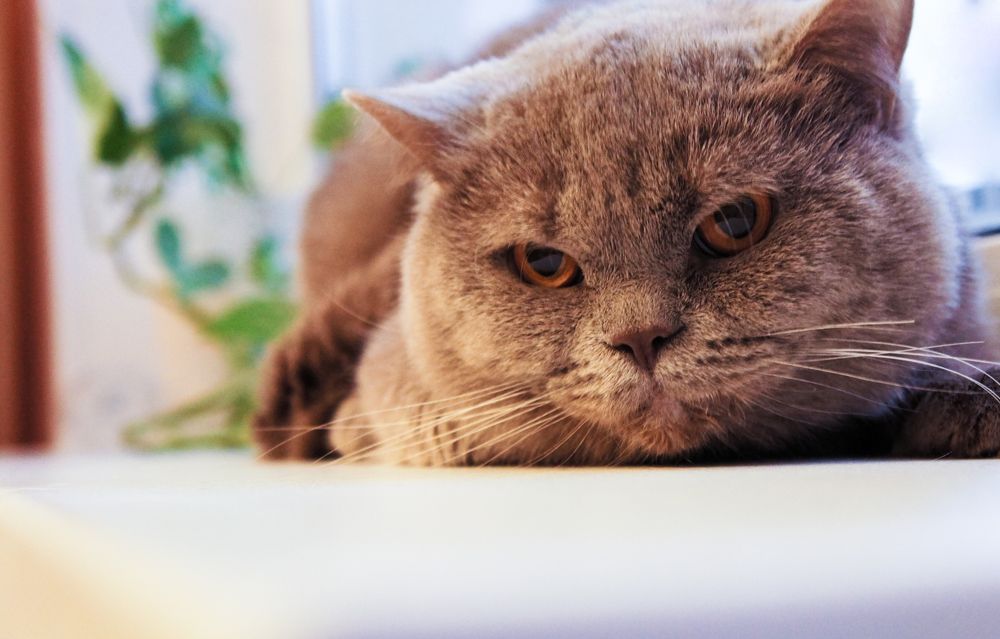 Photograph by Илья Ровинский