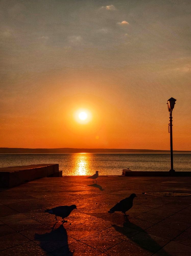 Photograph by Лев Кауфман